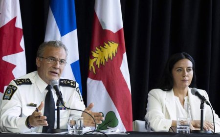 Montreal city council to debate bylaw banning insults against municipal employees