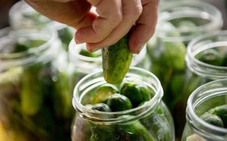 Pickle-flavored snacks boom as sales jump 30% and craze hits new extremes