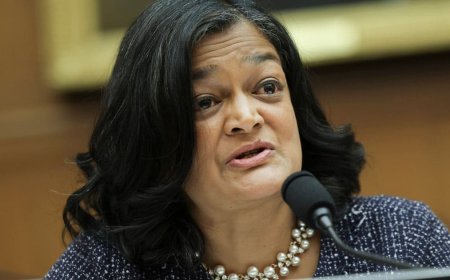 DHS Chief Blasts Democrat Rep for Claiming ‘Majority’ of Illegal Alien Criminals Pose ‘Absolutely No Threat to Public Safety’