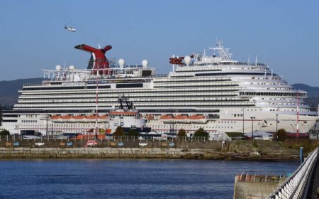 Carnival Cruise passenger jumps overboard from ship heading to California
