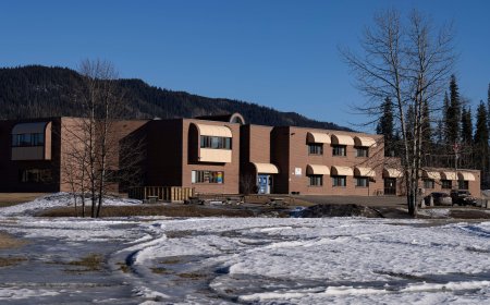 B.C. to give update on OpenAI legal action following Tumbler Ridge shooting