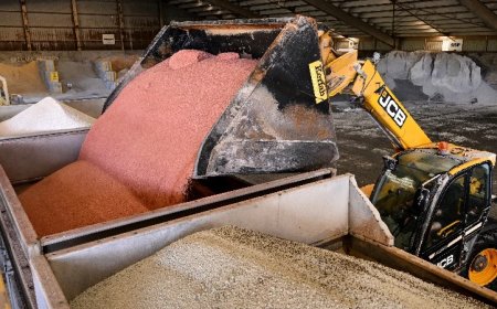 Trump Announces Deal To Buy Potash From Russian Ally Belarus After Renewed Interest In Ending Ukraine Conflict