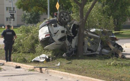 Man arrested after ‘catastrophic’ fatal collision in Winnipeg: police
