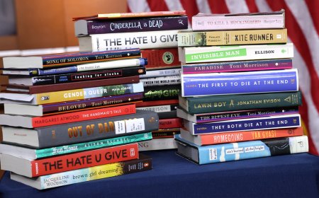 Georgia school district defends pulling 'sexually explicit' book depicting child rape amid 'censorship' claims