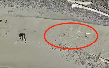 Tourists rescued from Oregon beach after spelling ‘SOS’ with driftwood