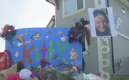 Family of 80-year-old community volunteer killed in B.C. hit and run seeks justice