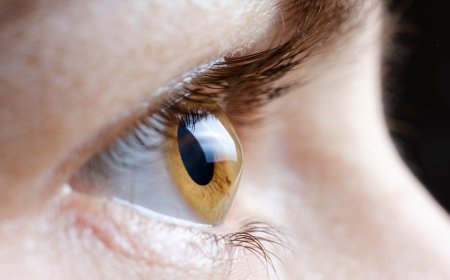 Popular weight-loss drugs face numerous lawsuits over rare ‘eye stroke’ linked to vision loss