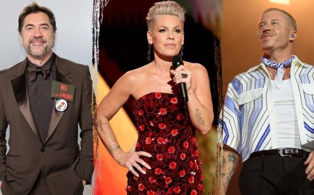 Javier Bardem slammed for targeting Pink over Macklemore comments: 'The left is eating itself'