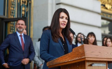 Former news anchor working for California Democrat arrested by immigration authorities at Las Vegas airport