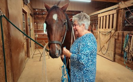 Farmers offering on-site vacation rentals to combat rising costs