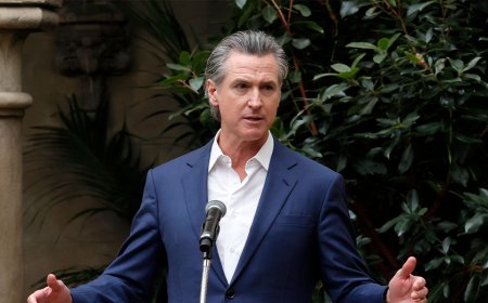 Newsom's admission that infamous COVID move was 'insane' triggers viral fury: 'We all told you'