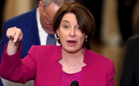 Democrat Sen Amy Klobuchar Linked to Minnesota Fraud Scandal