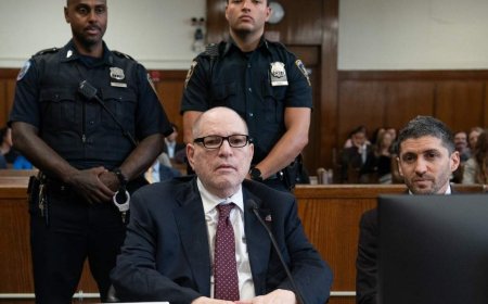 Harvey Weinstein sentenced to 15 years in New York for 2006 sexual assault