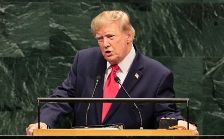 Trump Calls Out Canada For Replacement Migration Invasion