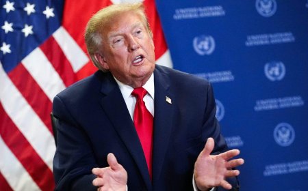 ‘A new beginning’: Ottawa council votes to rename Trump Avenue