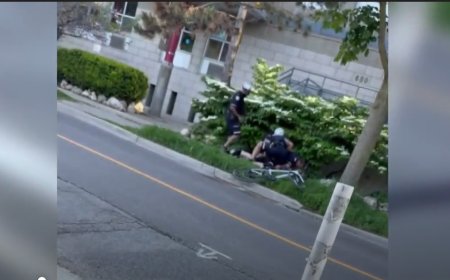Police watchdog clears officer who tackled Toronto cyclist after ignoring stop sign