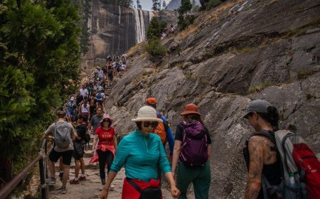 California college wrestling star Ryan George dies after 400-foot fall hiking in Yosemite