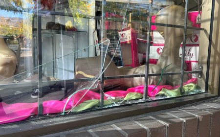 Kelowna business owner calls for more action after a series of break-ins