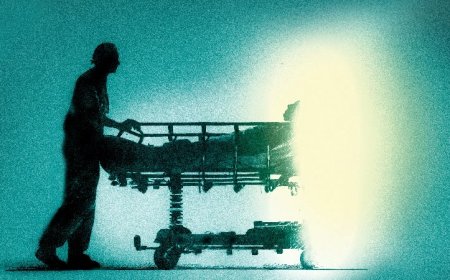 Canada Recorded More Euthanasia Deaths Than US Gun Homicides In 2024