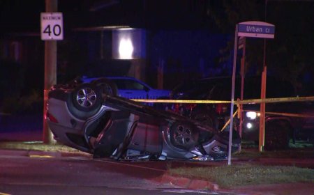 Two Toronto police officers hurt after collision with fleeing vehicle