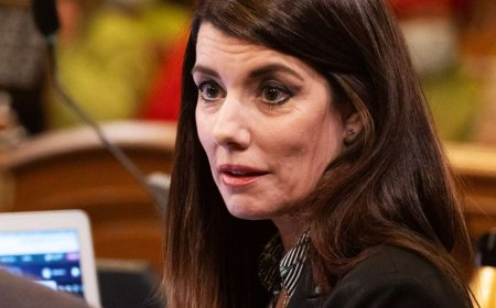 California Democrat Melts Down After Illegal Alien Staffer Arrested by ICE