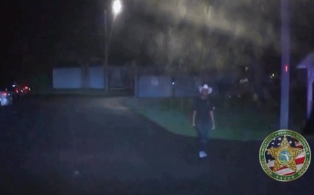 Florida deputies taser sword-wielding burglary suspect, video shows