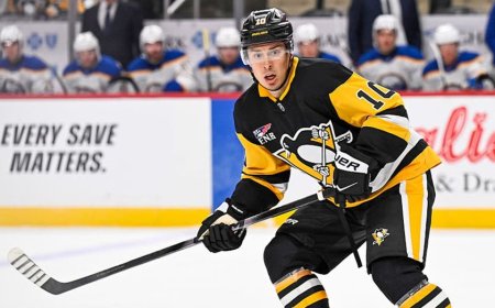 Penguins forward Andrei Kuzmenko's father killed in bear attack on remote Russia fishing trip
