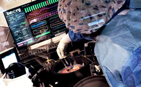 Scientists Unveil ‘Biological Data Center’ Powered by Lab-Grown Human Brain Cells
