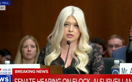 Watch: Woman Testifies To Congress After Flock Camera Led To Wrongful Arrest In Deadly Crash