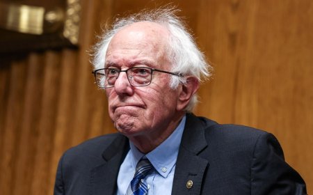 Trump FDA pick repeatedly sidesteps Sanders' universal healthcare demands in heated clash