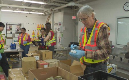More than 60K people access food banks in Manitoba each month, report says