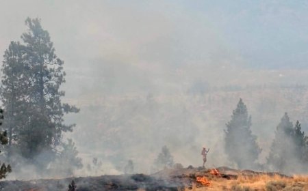 Okanagan communities plan prescribed burns to reduce wildfire risk