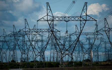 ‘We control who and where’: province at odds with municipalities over AI data centres