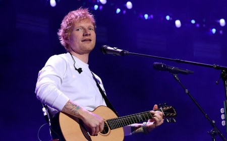 Ed Sheeran concertgoers warn artists about sharing political views: 'You're going to alienate' fans
