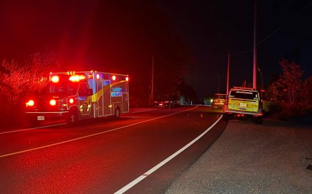 Toronto police to hold update after finding 2 bodies in burnt-out vehicles