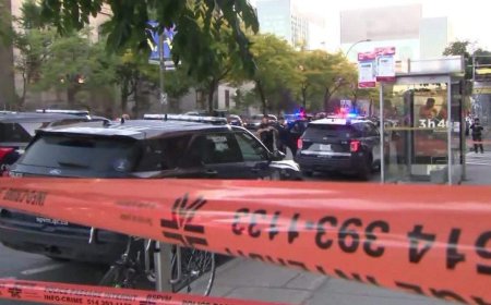 ‘Terrible tragedy’: Federal leaders condemn killing of Montreal woman on Zoom call