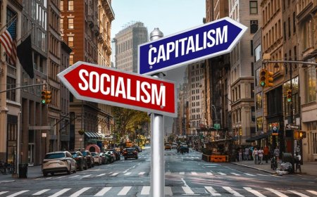 More Americans than ever now have a positive view of socialism, new poll says