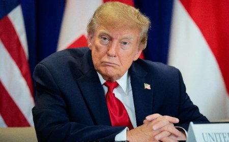 Socialism Is More Popular Than Donald Trump, According To Polls