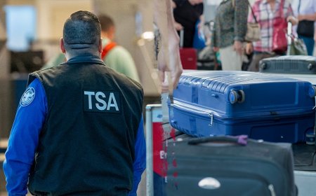 Airport X-ray reveals shocking illegal stash concealed beside passenger's Xbox