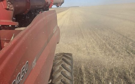 Saskatchewan harvest faces higher costs and delays