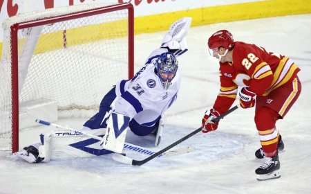 Senators acquire goalie Johansson from Lightning