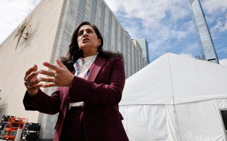 Anand to give Canada’s UN speech this afternoon