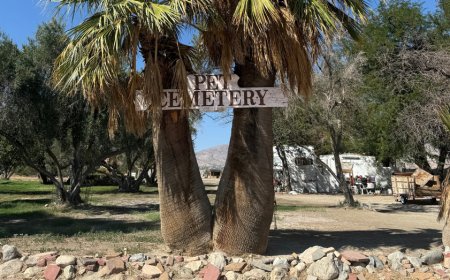 Hidden California desert pet cemetery holds unexpected piece of White House history