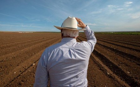 Experts Sound Alarm as ‘Perfect Storm’ Threatens Historic Global Food Crisis