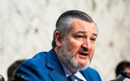 Cruz says winning AI race against China is 'single most important economic question' for America
