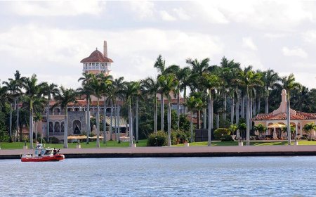 Trump's home county hits pause on data centers over environment and electric bill concerns