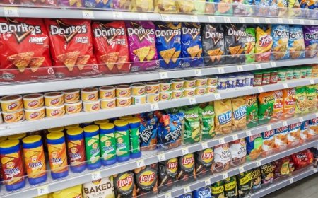 Fix One, Fix All: A Change of Diet Can Do More Than Just Change Your Mood