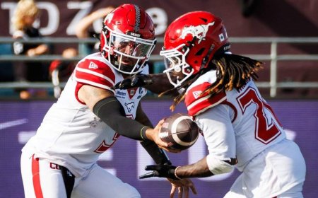 Calgary Stampeders beat Ottawa Redblacks 45-31
