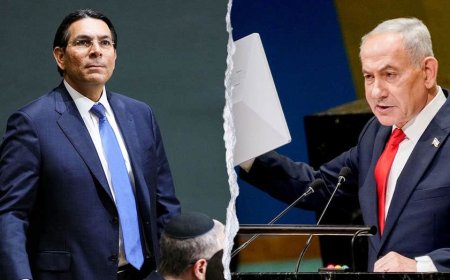 Israeli UN envoy's Starlink video reaches millions, with nearly 40% of Instagram viewers in Iran