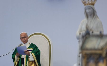 Pope Francis says medically-assisted dying is ‘false compassion’